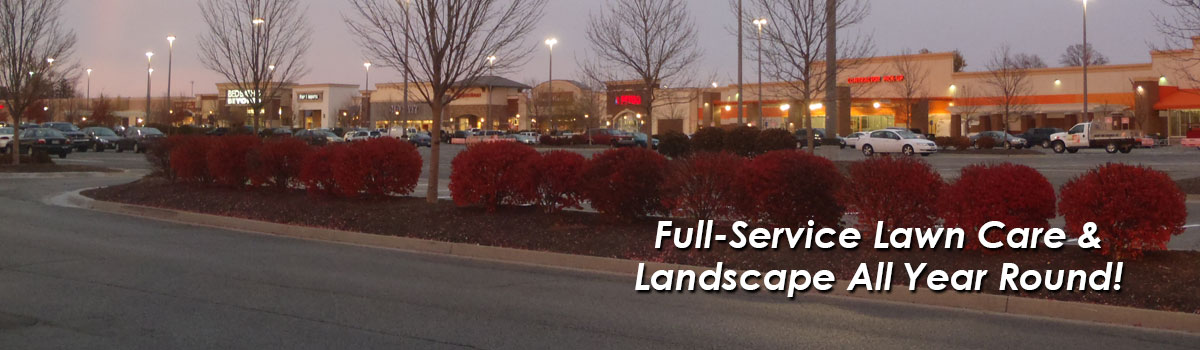 Year Round Landscape & Lawn Care
